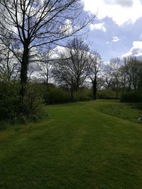 Bare trees on grassy field against sky