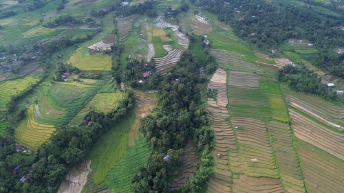 agriculture