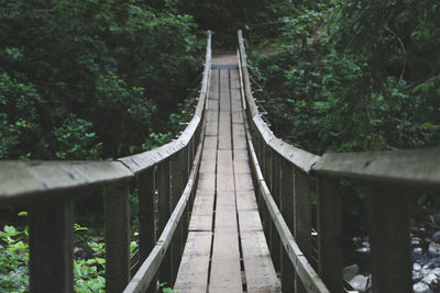 Narrow footbridge in forest