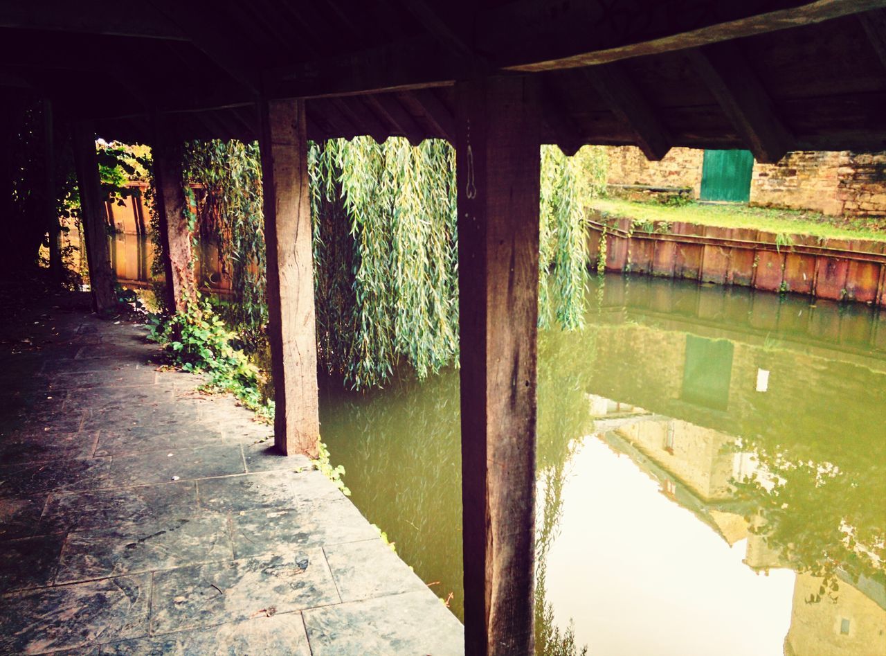 built structure, architecture, water, arch, tree, reflection, plant, indoors, tranquility, day, architectural column, river, sunlight, bridge - man made structure, nature, no people, house, green color, the way forward, growth