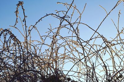 Low angle view of fence against clear sky