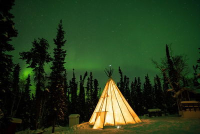 Tent by trees against sky at night