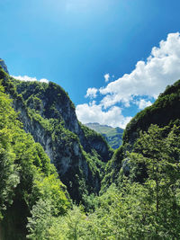 Panoramiv view from nature