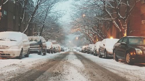 Snow covered road along trees