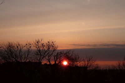 Silhouette bare tree against sky during sunset