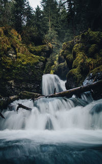 Beautiful waterfall called virgin creek falls in the southern town of alaska called girdwood 