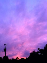 Silhouette of trees at dusk