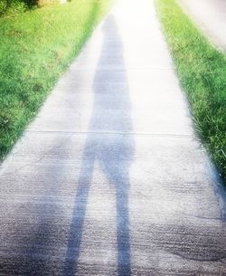 High angle view of shadow on road