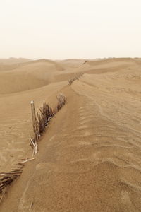 0357 reed checkerboard barriers protect the tarim desert highway-taklamakan desert. xinjiang-china.
