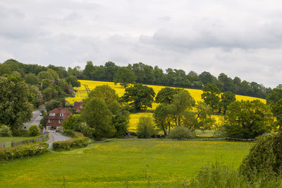 Scenic view of field against sky