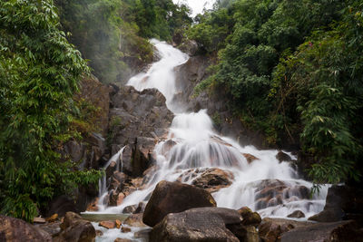 Scenic view of waterfall in forest