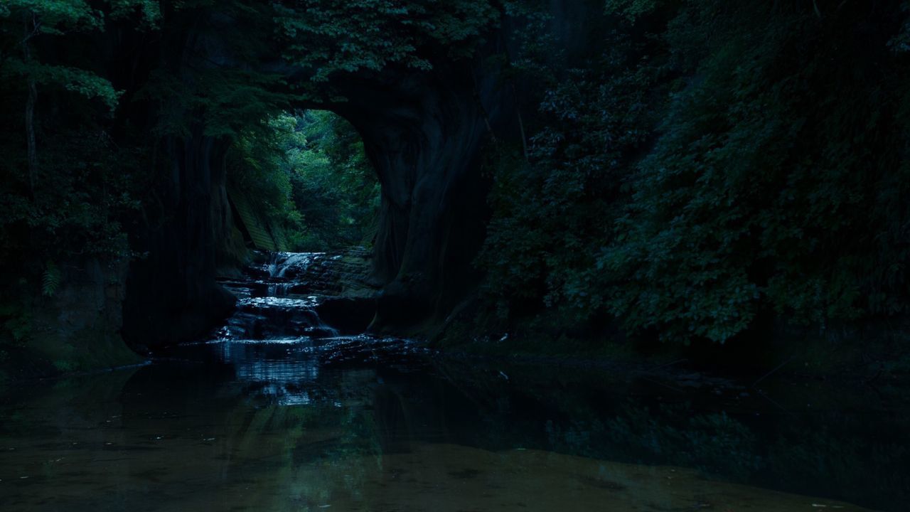 water, beauty in nature, tree, no people, nature, rock, tranquility, forest, solid, rock - object, cave, day, scenics - nature, plant, land, rock formation, reflection, growth, tranquil scene, outdoors, flowing water, flowing