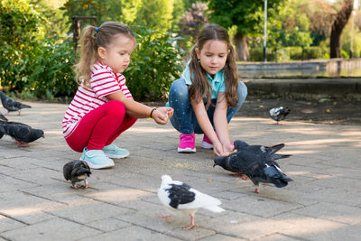Cute girls feeding birds outdoors