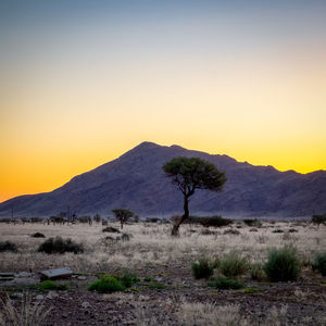 Scenic view of landscape against clear sky during sunset