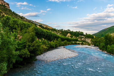 Scenic view of river amidst trees against sky