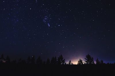 Low angle view of silhouette trees against sky at night