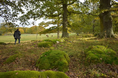 Rear view of man on field