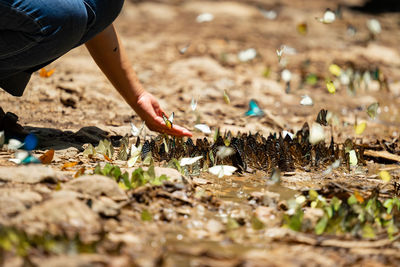 Low section of woman standing on field