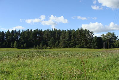 Scenic view of green field against cloudy sky