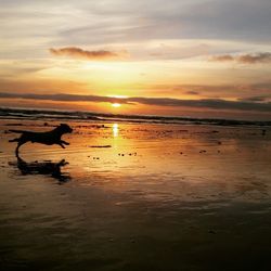 Scenic view of sea at sunset