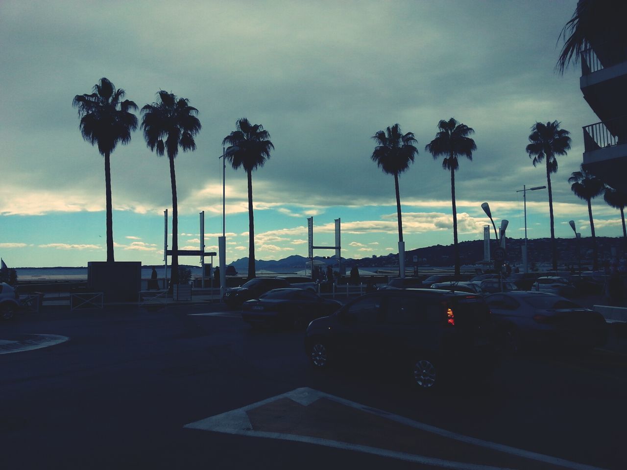 transportation, car, palm tree, land vehicle, mode of transport, sky, tree, road, silhouette, sunset, street, cloud - sky, street light, travel, traffic, dusk, on the move, cloudy, cloud, outdoors