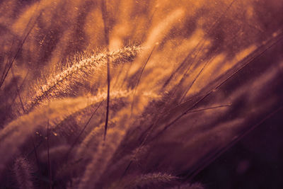 Full frame shot of feather against the sky