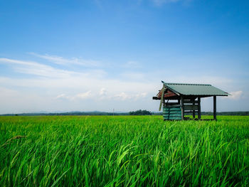 Lifeguard hut on field against sky