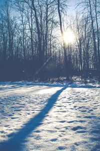 Scenic view of landscape against sky during winter