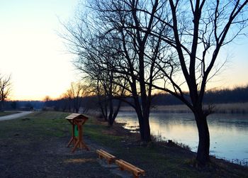 Bare tree against sky during sunset