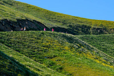People walking on grassy landscape