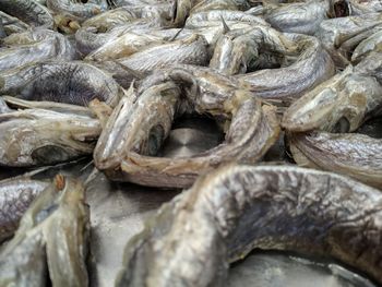 Full frame shot of fish for sale in market