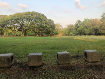 Scenic view of field against sky