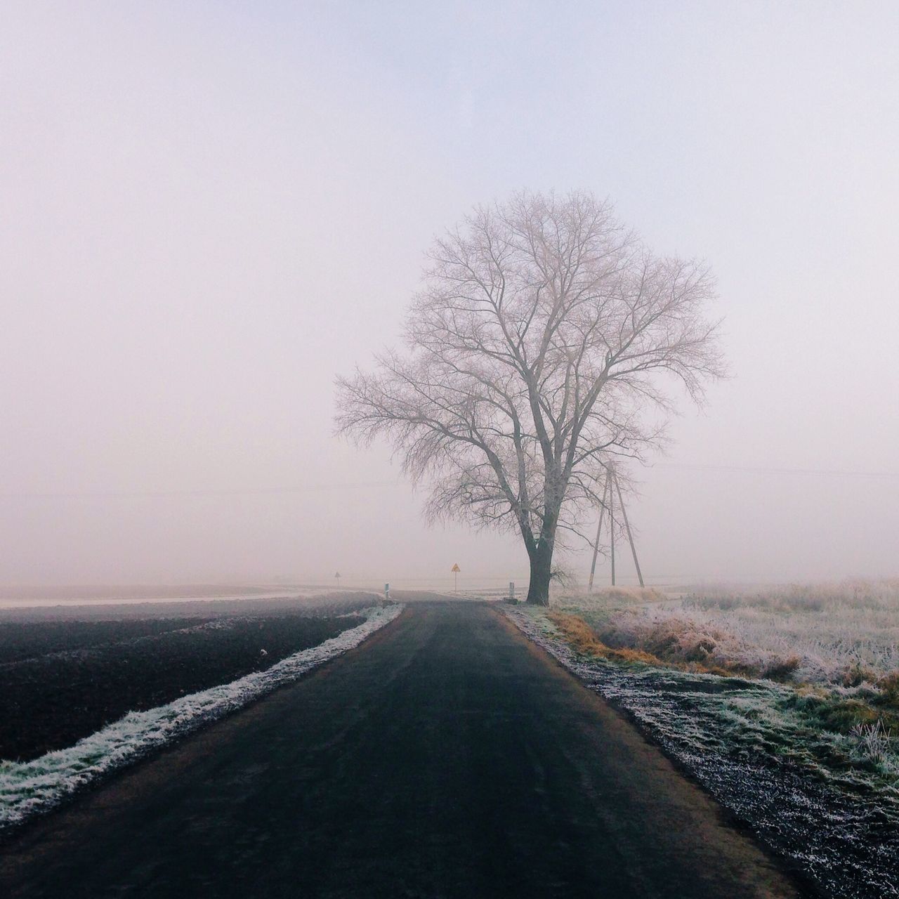 the way forward, road, clear sky, tranquility, tranquil scene, bare tree, transportation, tree, diminishing perspective, landscape, copy space, vanishing point, nature, scenics, beauty in nature, empty road, country road, foggy, field