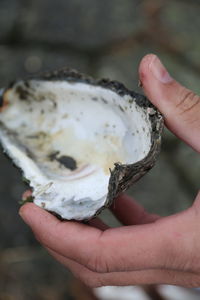 Close-up of hand holding ice cream