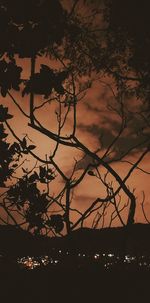 Silhouette trees against sky during sunset