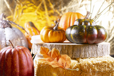 Small pumpkin next to hay covered with leaves, pumpkins, and squash with a golden background