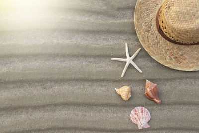 High angle view of shells on sand