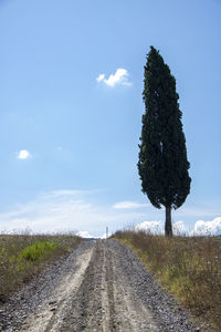 Dirt road amidst trees on field against sky