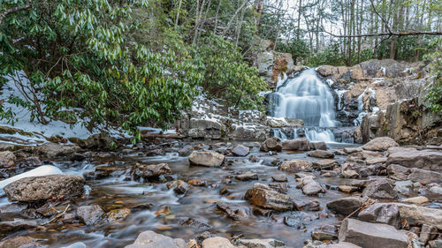 Scenic view of waterfall in forest