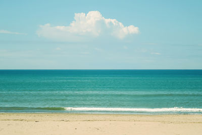 sea
