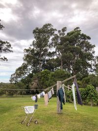 Men hanging on tree against sky