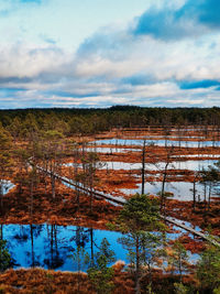 Scenic view of trees on field against sky