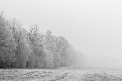 Scenic view of field against sky during winter