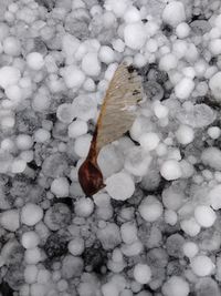 High angle view of snow on field