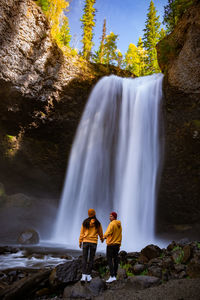 Scenic view of waterfall in forest