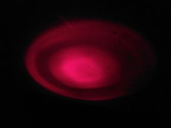 Close-up of red light bulb over black background