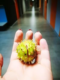 Close-up of hand holding pineapple