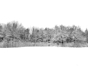 Trees on field against clear sky