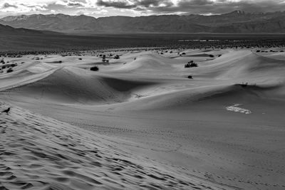 Scenic view of desert during winter