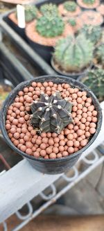 High angle view of spices for sale in market